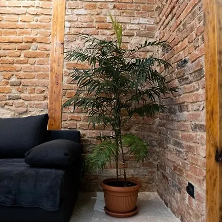 Napoca Brick&barrel Kluž