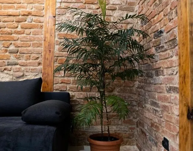 Napoca Brick&barrel Kluž